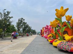 -荷兰花海