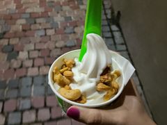 -Salud撒露欧洲冻酸奶(蓝色港湾店)