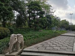 -名树园
