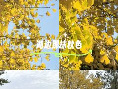 -美兰湖景区
