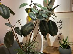 -沏点Trattoria意大利餐厅(新街口店)