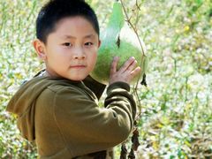 -东方巨龟苑景区