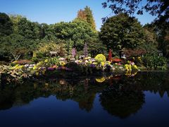 -杭州植物园