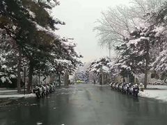 -钓鱼台国宾馆