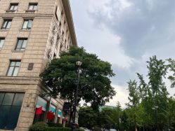 -杭州奥拉克医疗美容门诊部