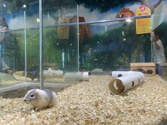 -顺德南宏海立方海洋公园