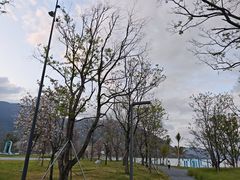 -坝光海滩