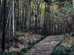 -杭州半山国家森林公园