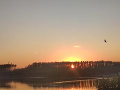 -丁香湖公园