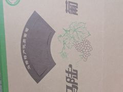 -马陆小张葡萄园农家乐