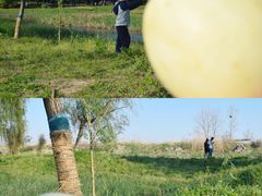-昆山城市生态森林公园