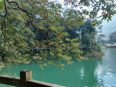 -广州市流溪河国家森林公园