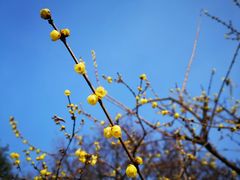 -白塘生态植物园