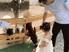 -HERRE·FARM 赫尔露营农场·团建聚会包场