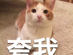 -上海徐汇瑞峰酒店