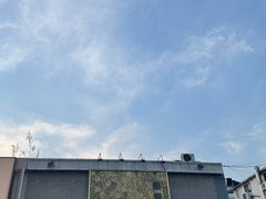 -活潑鲜跳(湖滨商业街店)