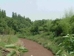 -同里国家湿地公园
