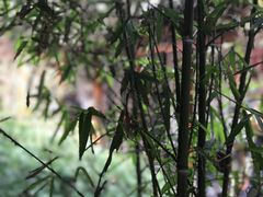 -不倒翁·徽天下名菜楼(马鞍山路店)