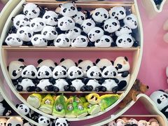 -武汉动物园