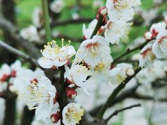 -上海山野camping·户外天幕烧烤·团建拓展营地