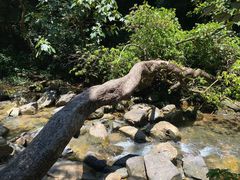 -鼎湖山风景区
