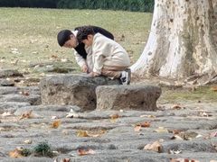 -西湖游船