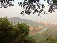 -风云岭森林公园
