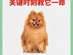 -申普宠物医院(总院)