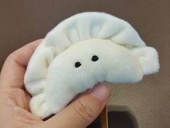 -袁记云饺的猜想(东方宝泰首店)