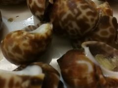 -丰顺宝丰酒店温泉