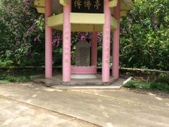 android_upload_pic-莫里热带雨林景区