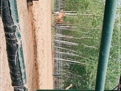 -秦皇岛野生动物园