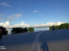 -宝安西湾红树林湿地公园