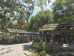 -青城甲(青城山店)