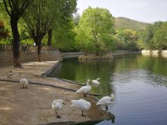 -石家庄市动物园