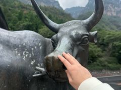 -神农山景区