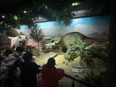 -国家自然博物馆