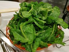 -鲜入围煮花胶鸡海鲜火锅