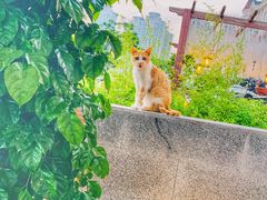 -JF Garden(渔人码头店)
