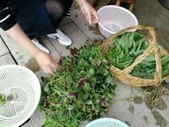 -龙湖东院农庄(乡间小路店)