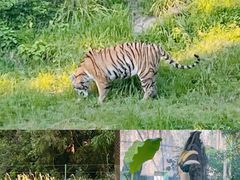-杭州野生动物世界