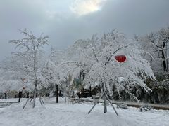 -秦岭终南山世界地质公园翠华山景区