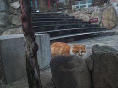 -汤峪温泉碧水湾