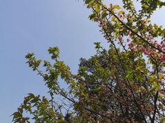 -南山植物园