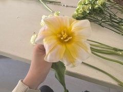 -荷兰布尔玛国际花艺学院