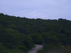 -平湖九龙山旅游度假区