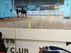 -骑乐马术(广州奥体优托邦中心)