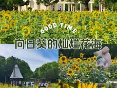 -大宁公园