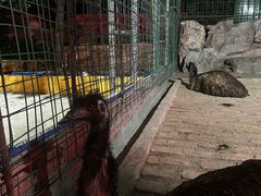 -八景休閒山莊  廣東十大名山莊