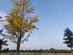 -汉长安城未央宫国家考古遗址公园